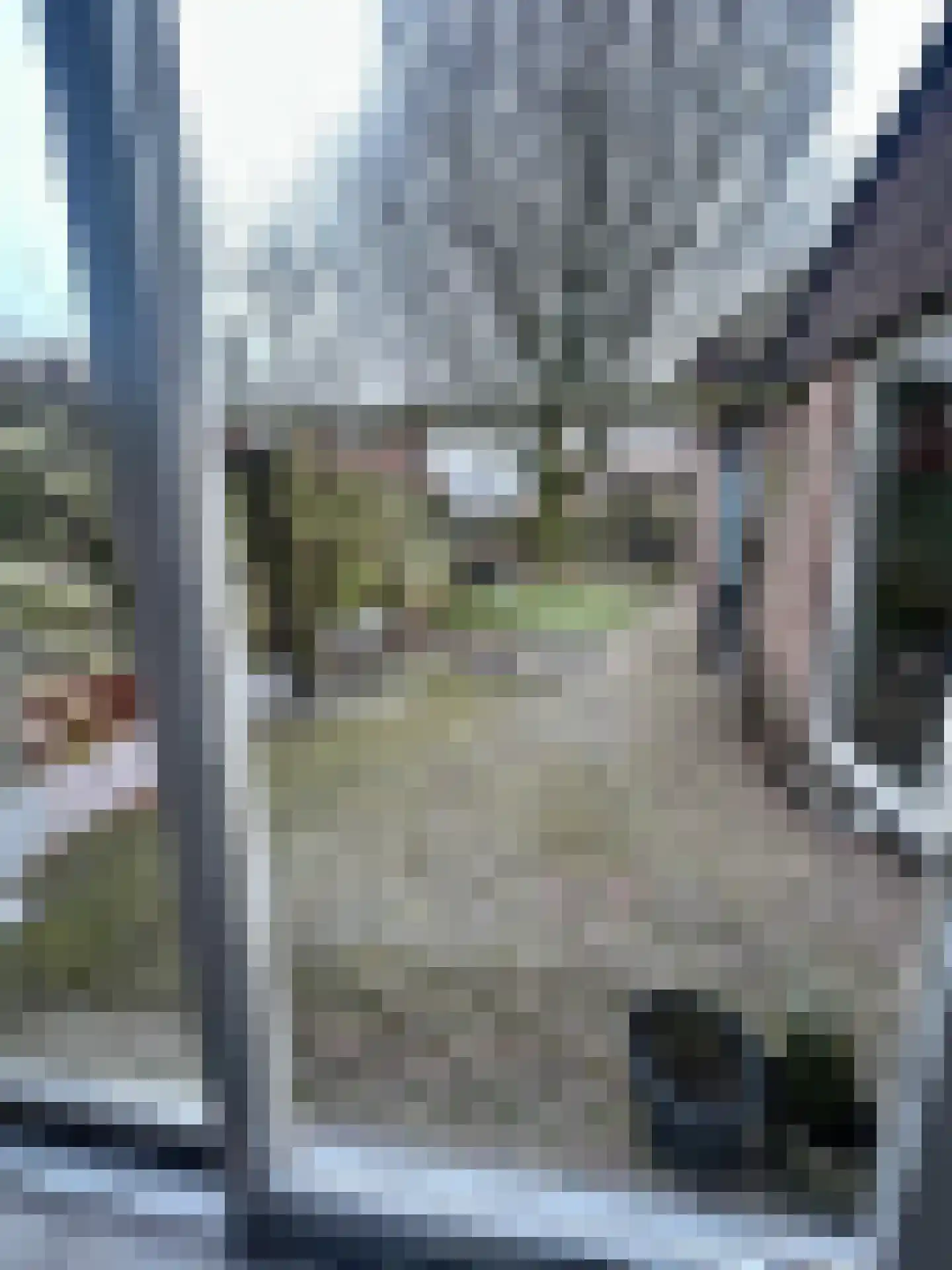 Biezenkuilen 91 Veldhoven thumbnail 11