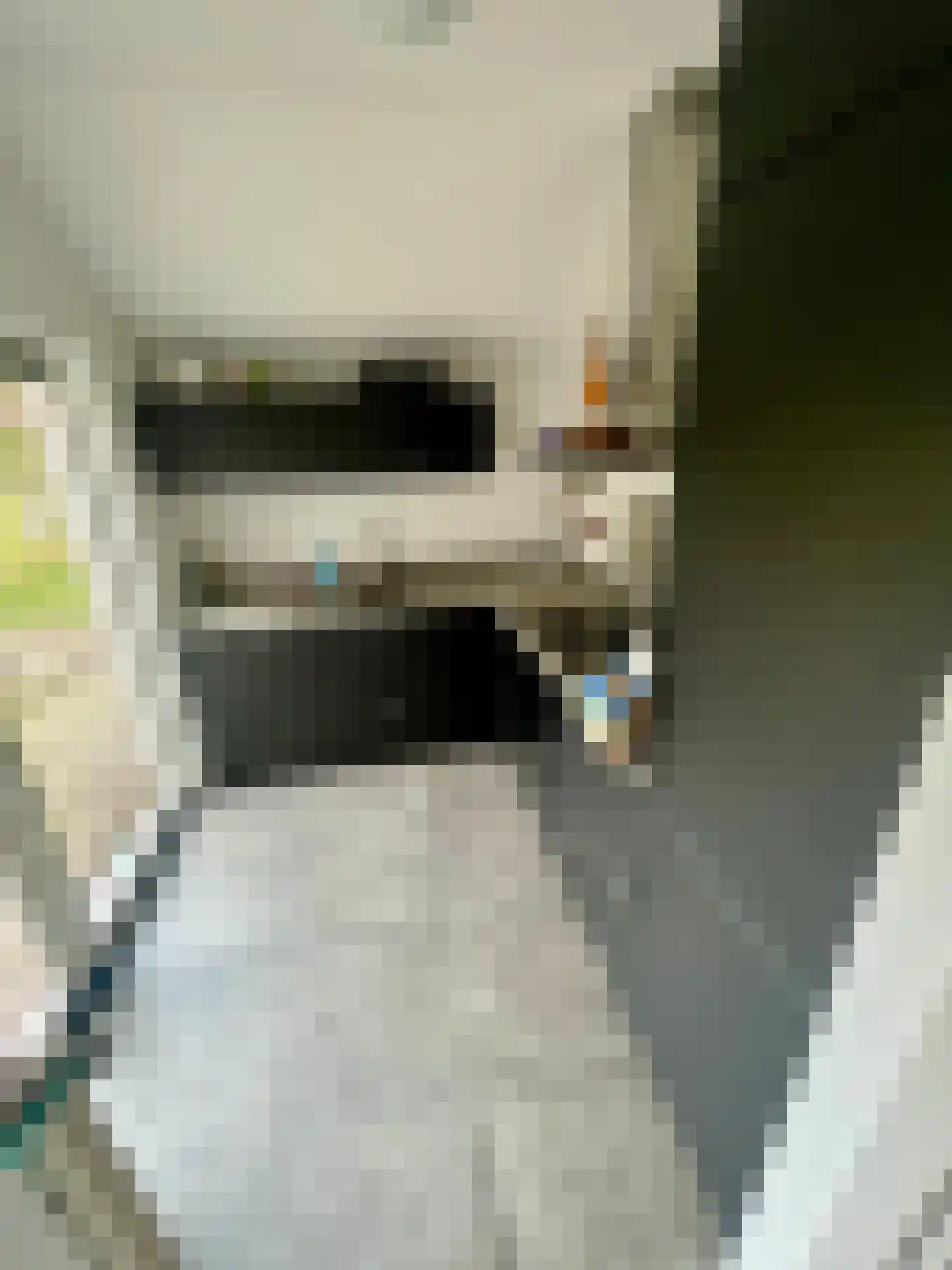 Biezenkuilen 91 Veldhoven thumbnail 4