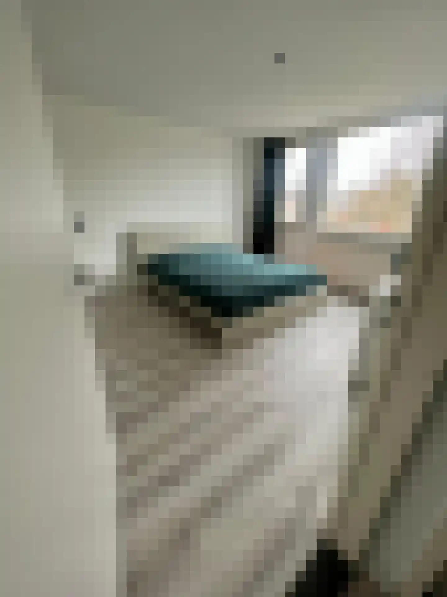 Biezenkuilen 91 Veldhoven thumbnail 5