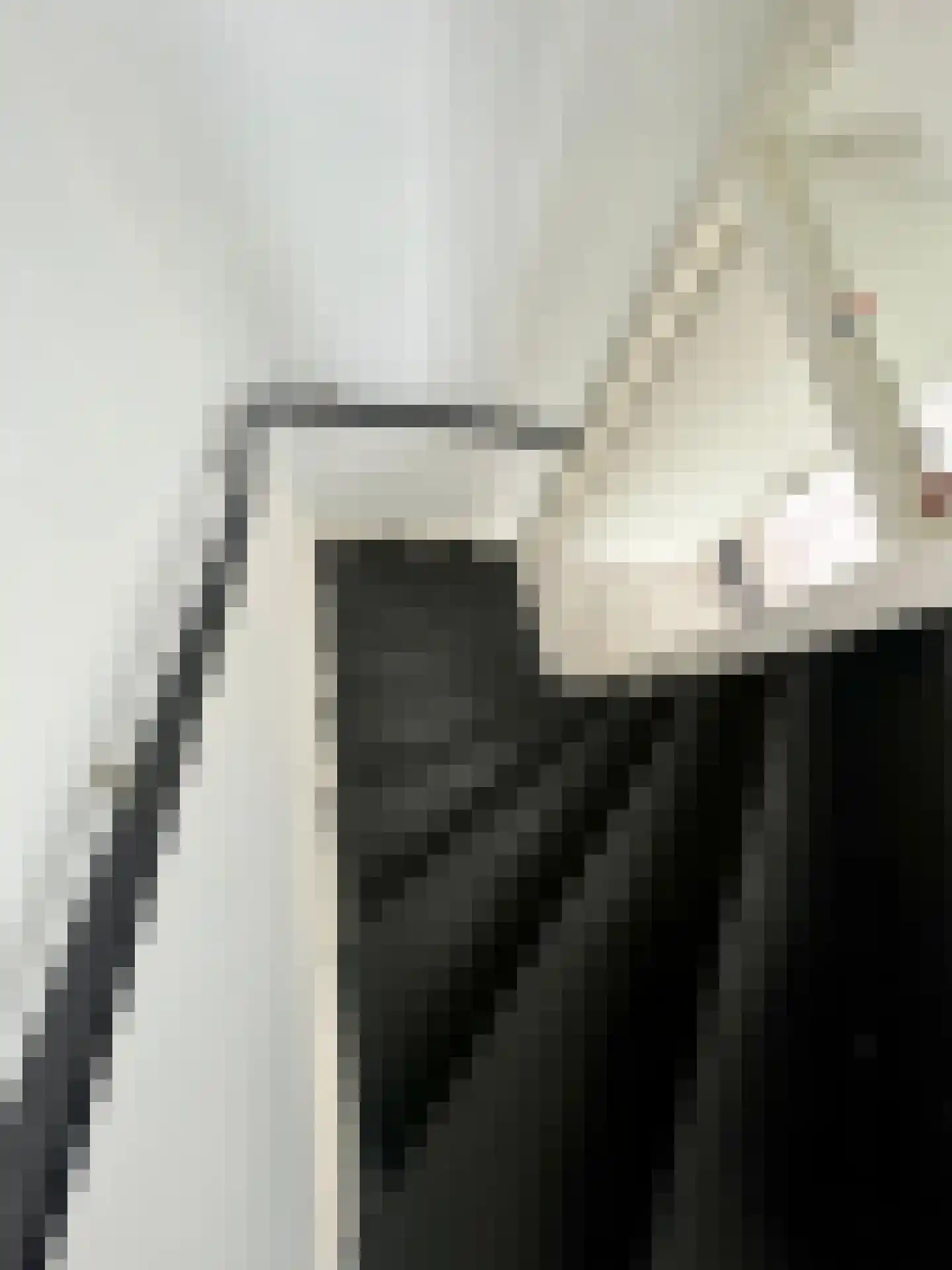 Biezenkuilen 91 Veldhoven thumbnail 9