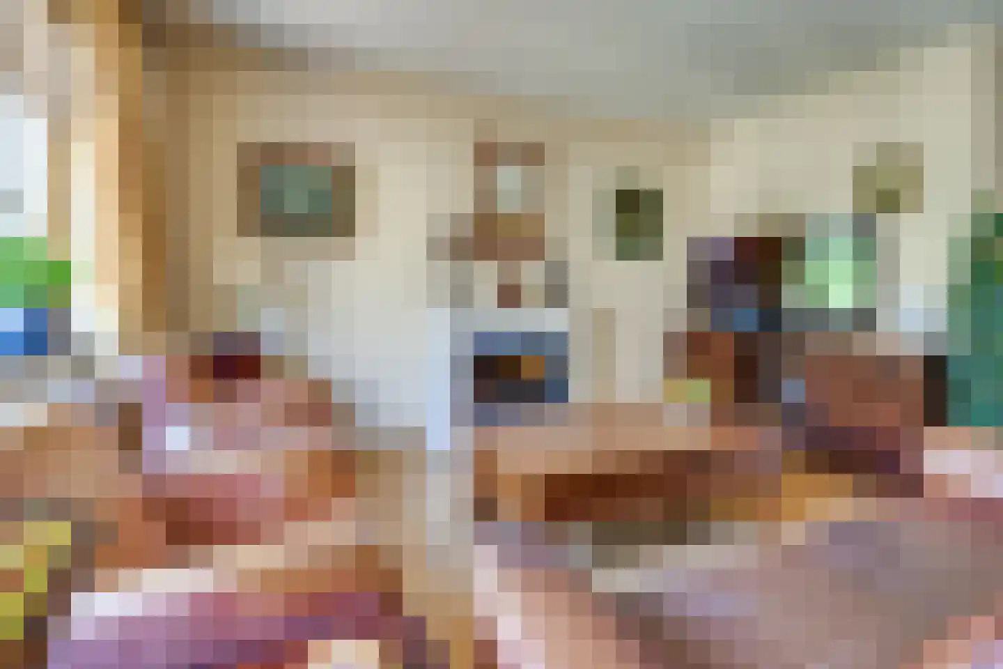 Biezenlaan 12 Helmond thumbnail 15