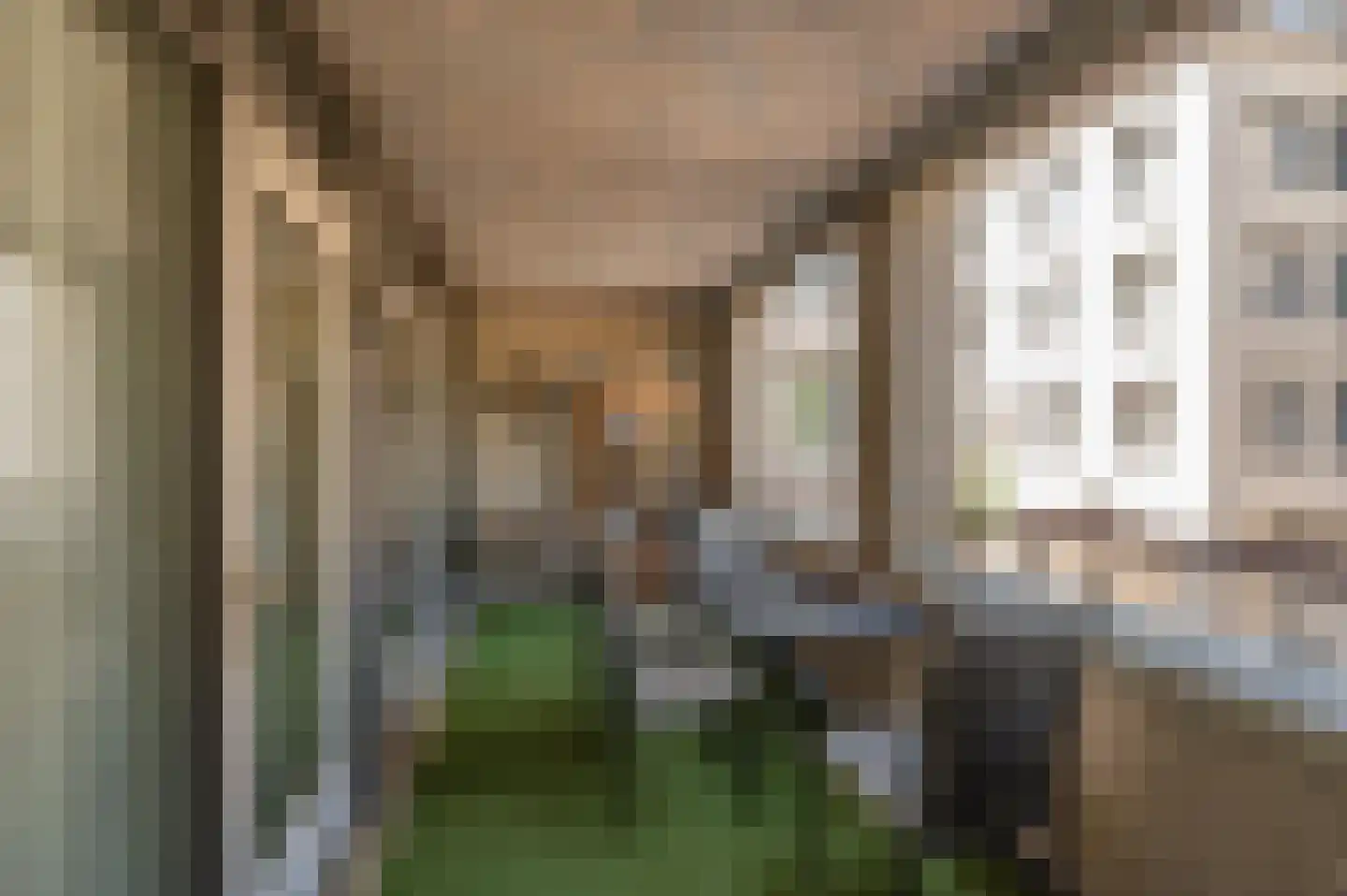 Biezenlaan 12 Helmond thumbnail 19