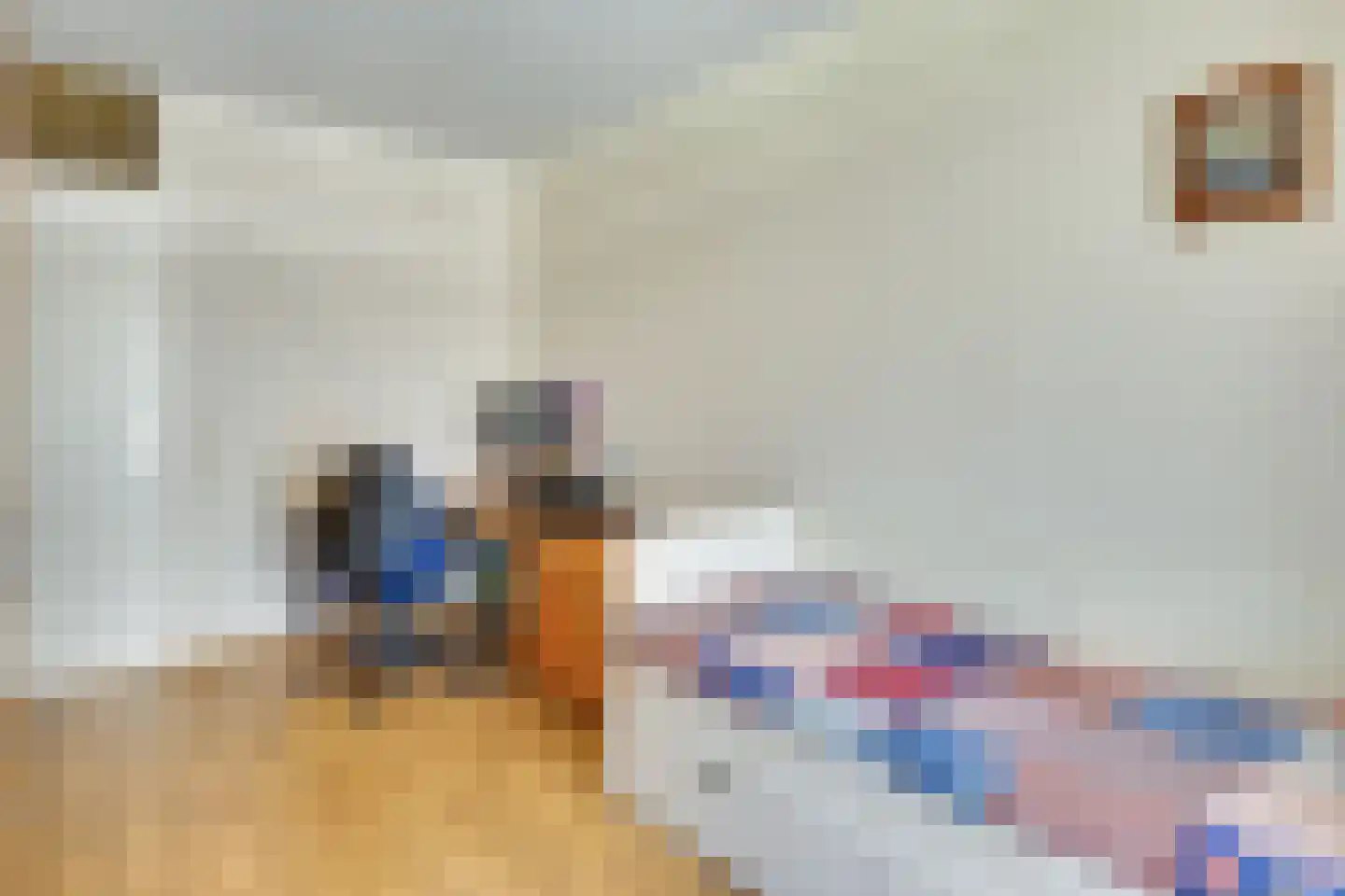 Biezenlaan 12 Helmond thumbnail 29