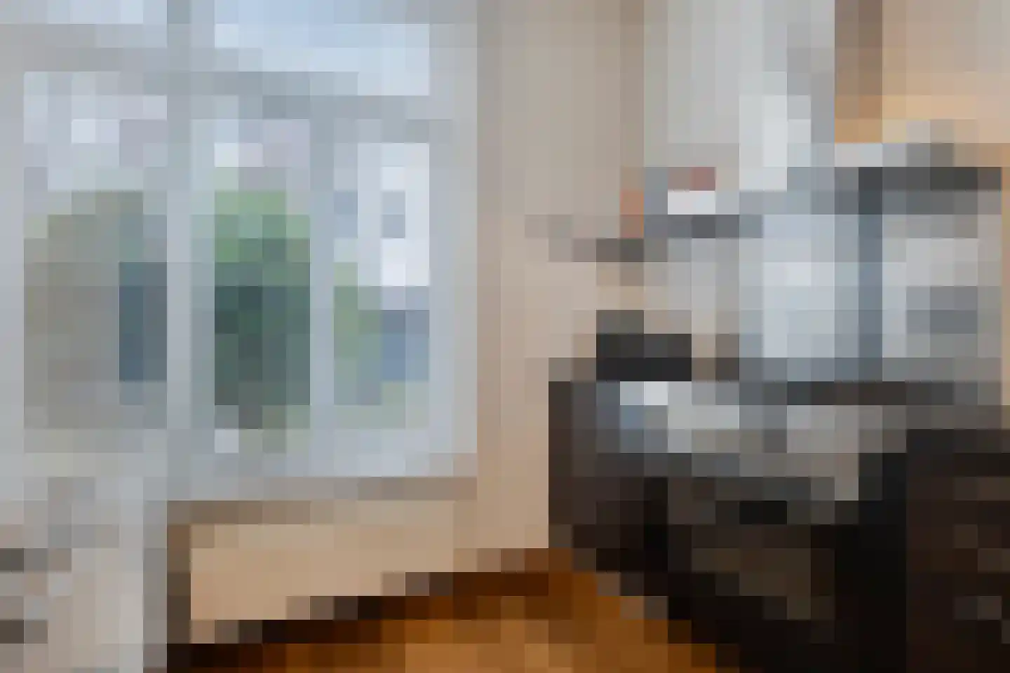 Biezenlaan 38 Helmond thumbnail 11