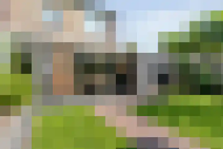 Biezenlaan 38 Helmond thumbnail 14