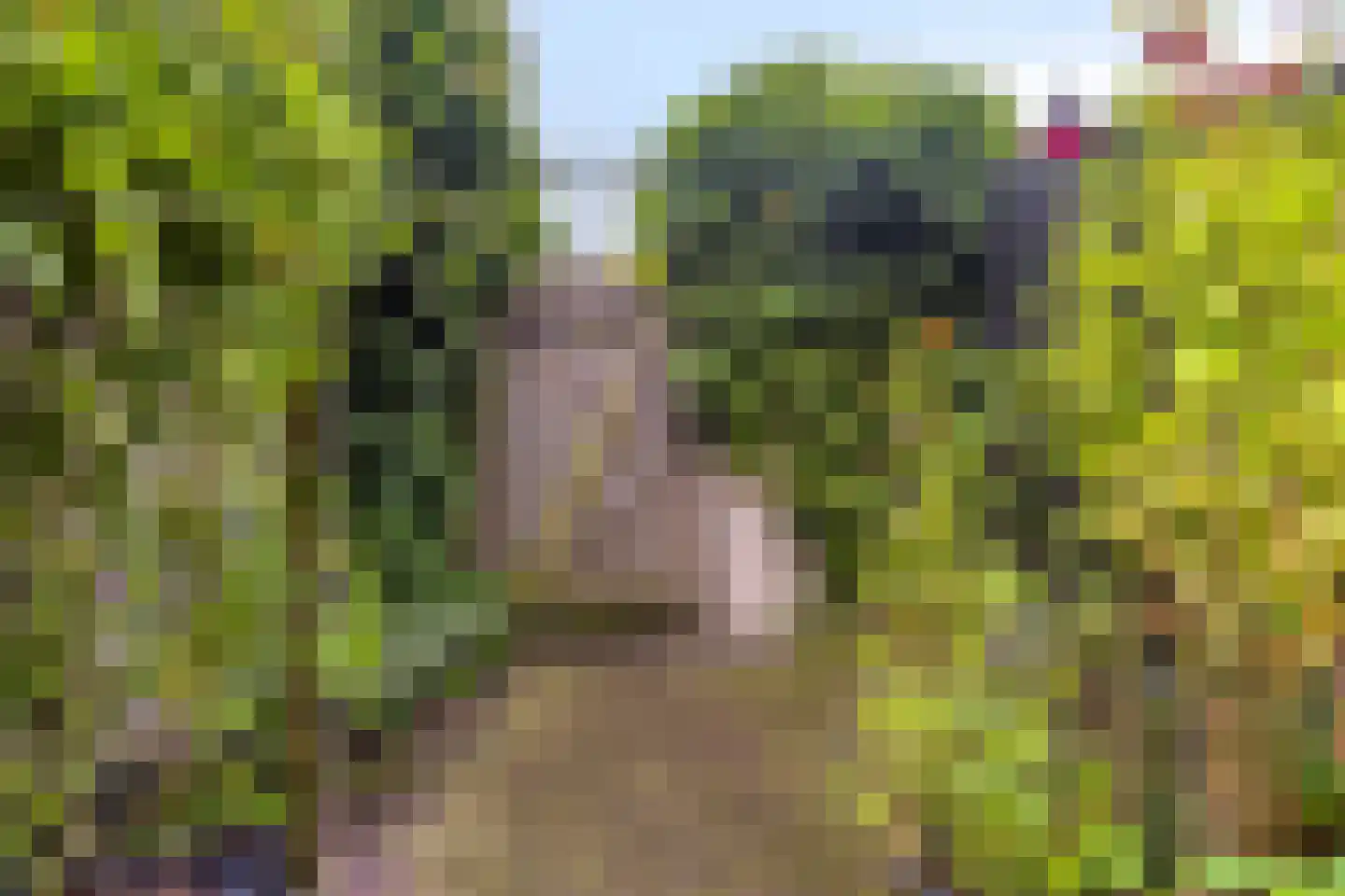 Biezenlaan 38 Helmond thumbnail 15