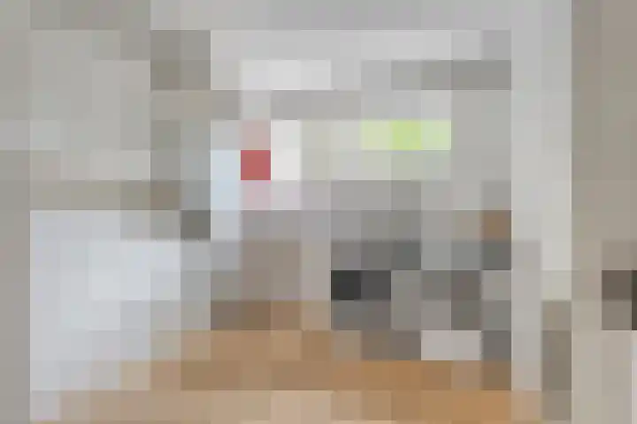 Biezenlaan 38 Helmond thumbnail 19