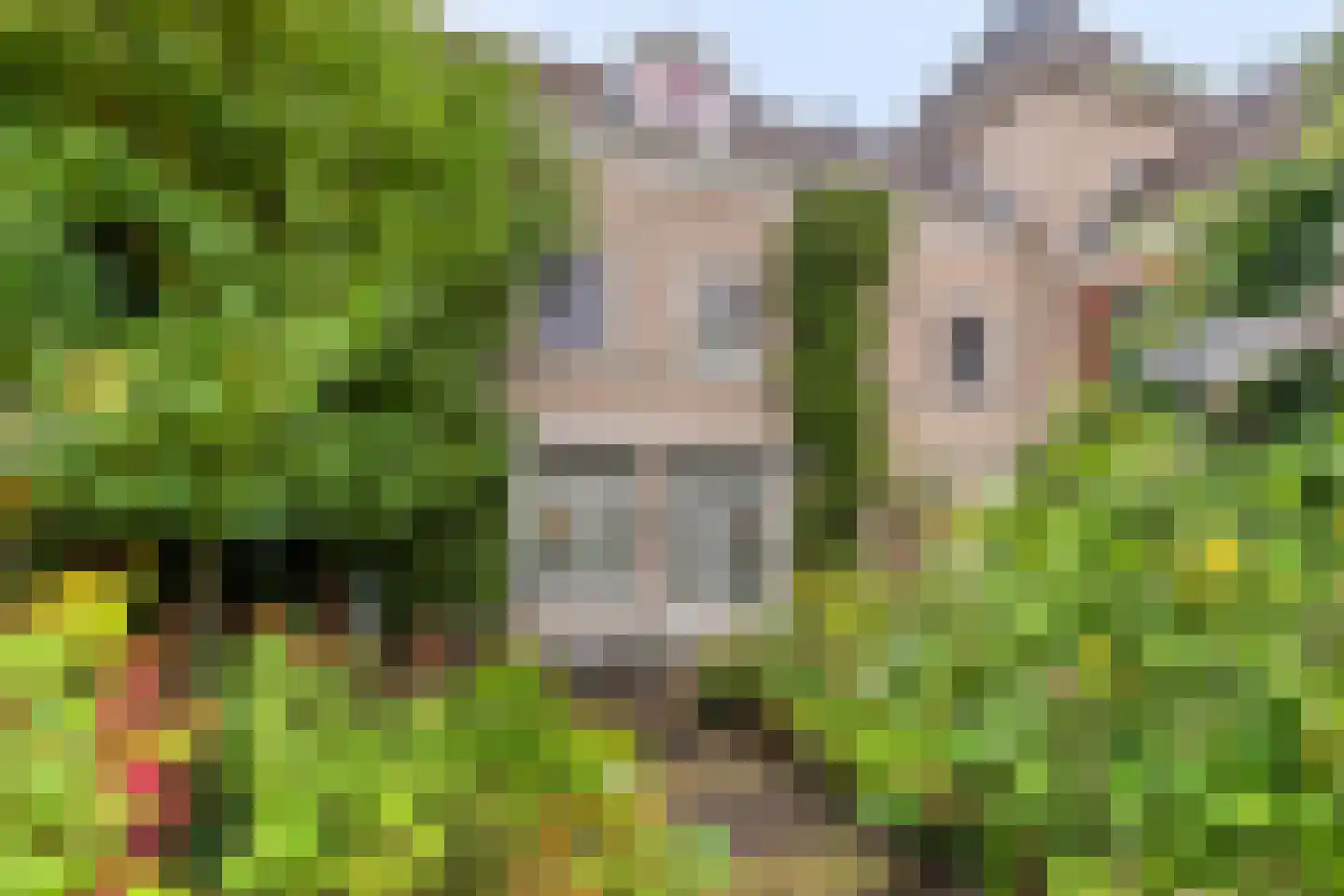 Biezenlaan 38 Helmond thumbnail 4