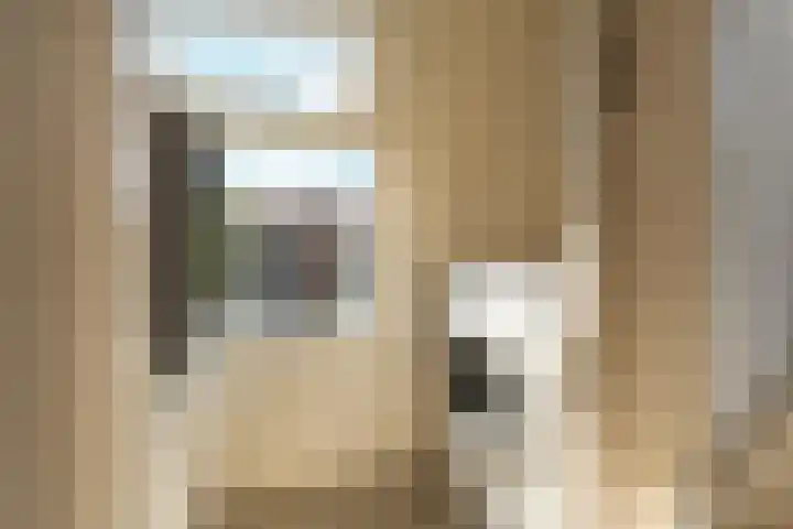 Biezenlaan 50 Arnhem thumbnail 23