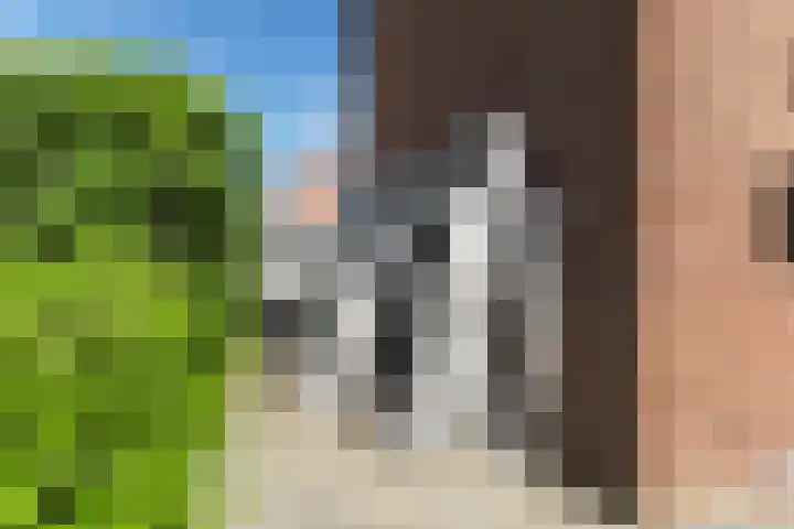 Biezenlaan 50 Arnhem thumbnail 37