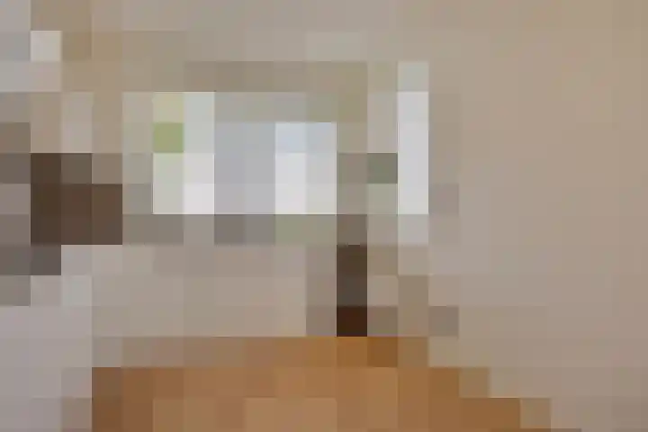 Biezenlaan 74 Arnhem thumbnail 11