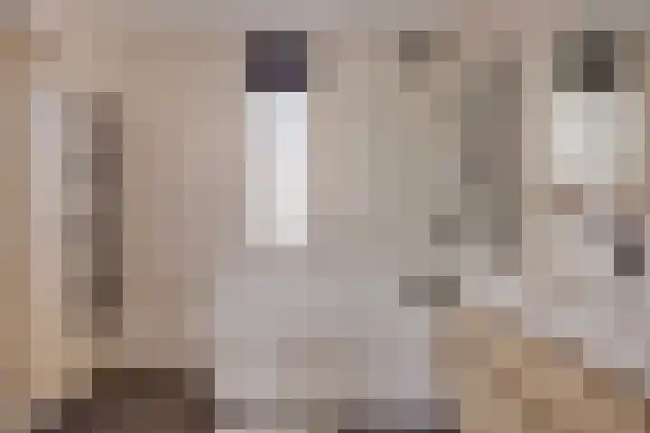 Biezenlaan 74 Arnhem thumbnail 22