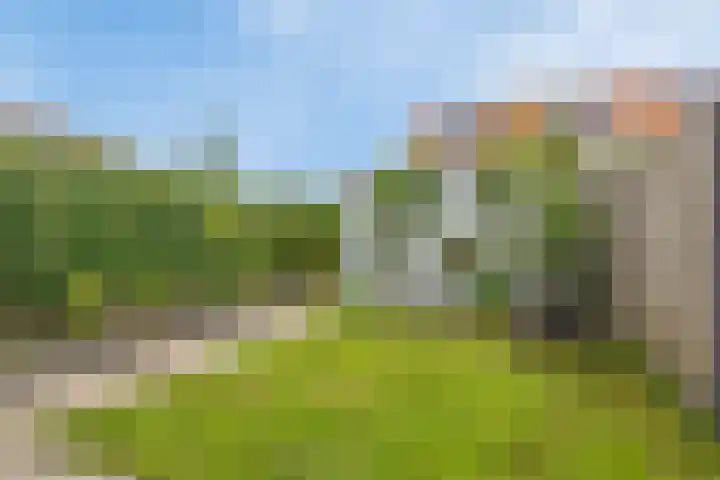 Biezenlaan 74 Arnhem thumbnail 27
