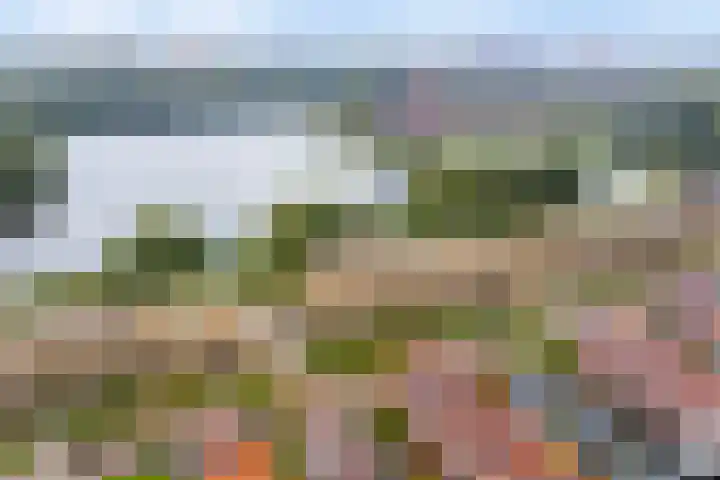 Biezenlaan 74 Arnhem thumbnail 30