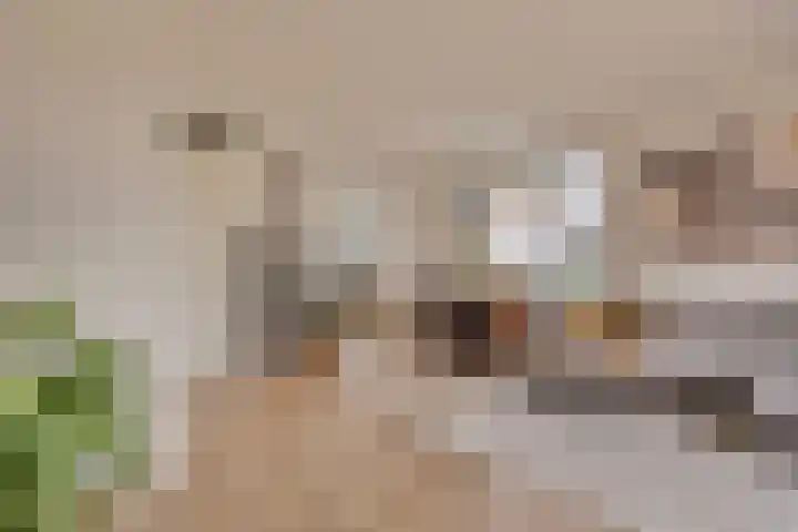 Biezenlaan 74 Arnhem thumbnail 7