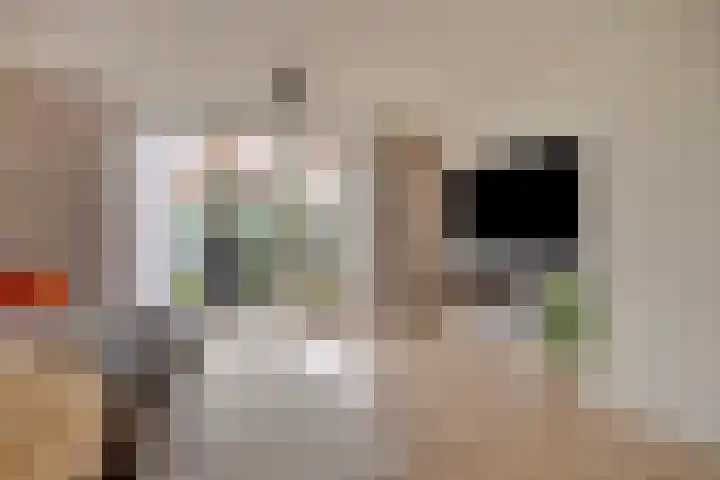 Biezenlaan 74 Arnhem thumbnail 8
