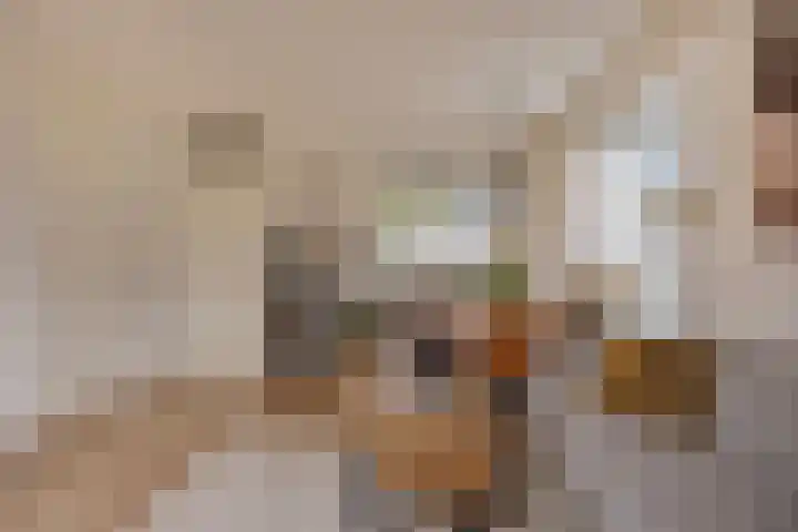 Biezenlaan 74 Arnhem thumbnail 9