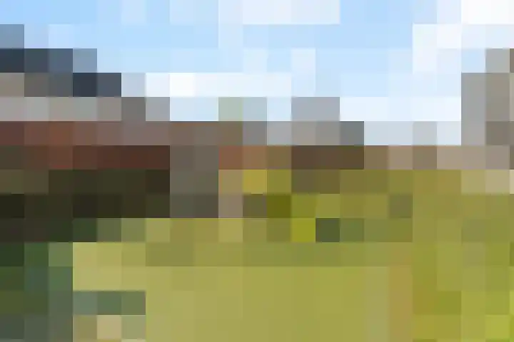 Biezenland 25 Noordwijk thumbnail 29