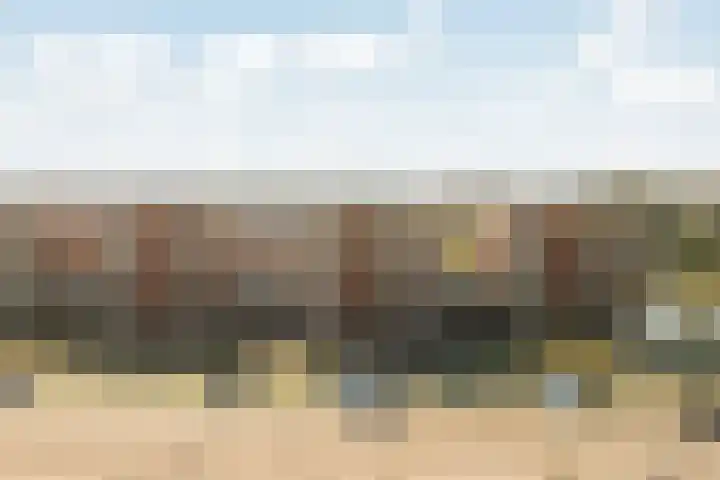 Biezenland 25 Noordwijk thumbnail 31