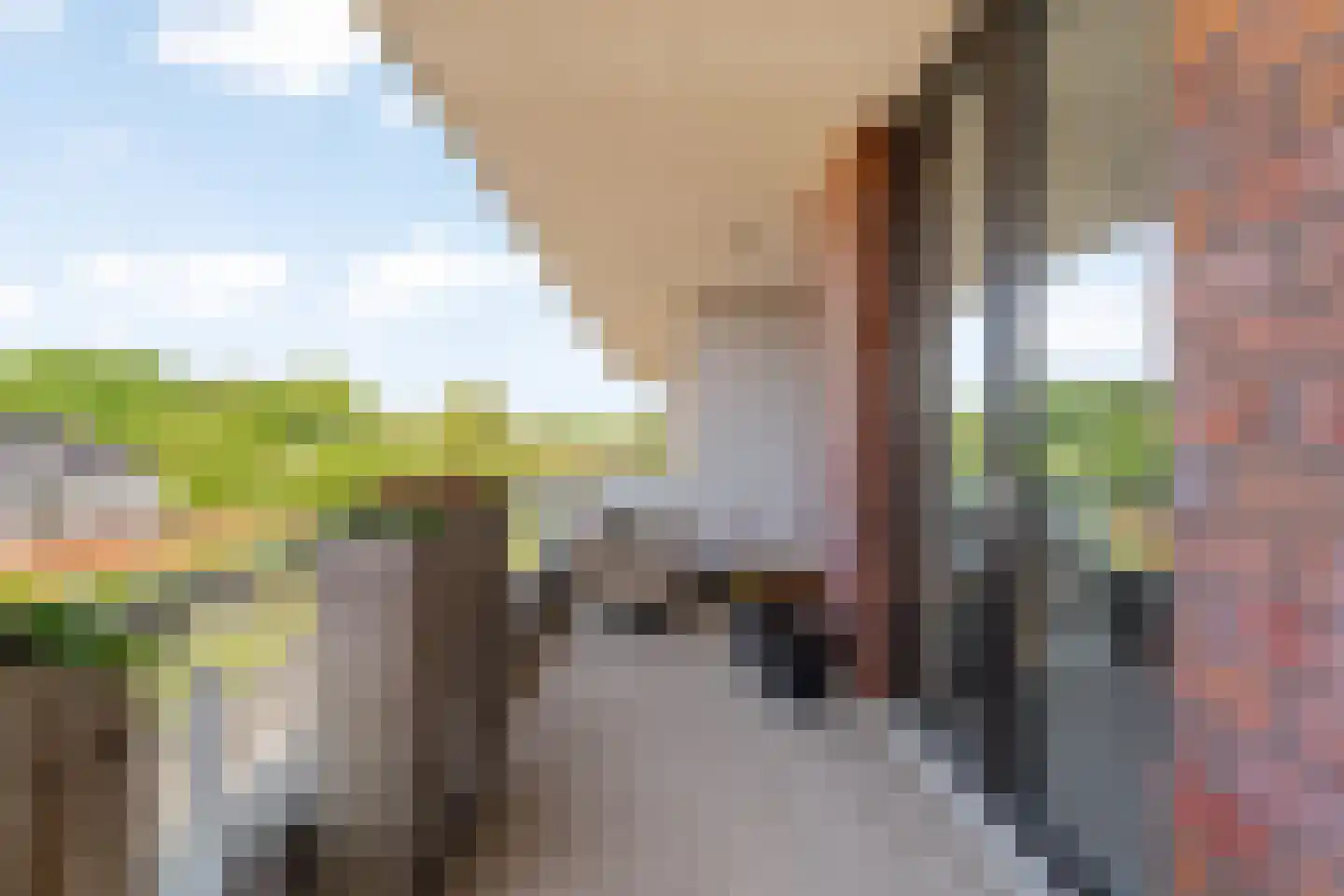 Biezenland 43 Noordwijk thumbnail 9
