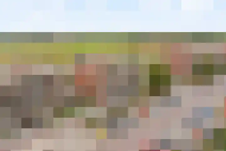 Biezenland 53 Noordwijk thumbnail 33
