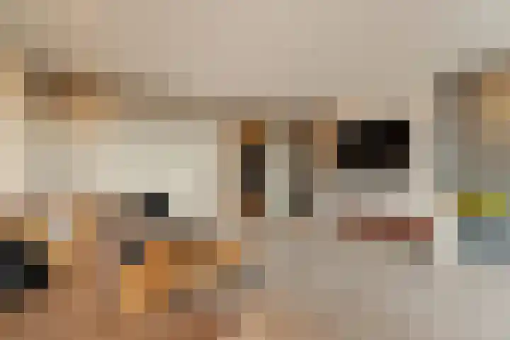 Biezenland 53 Noordwijk thumbnail 7