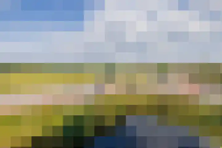 Biezenland 57 Noordwijk thumbnail 26