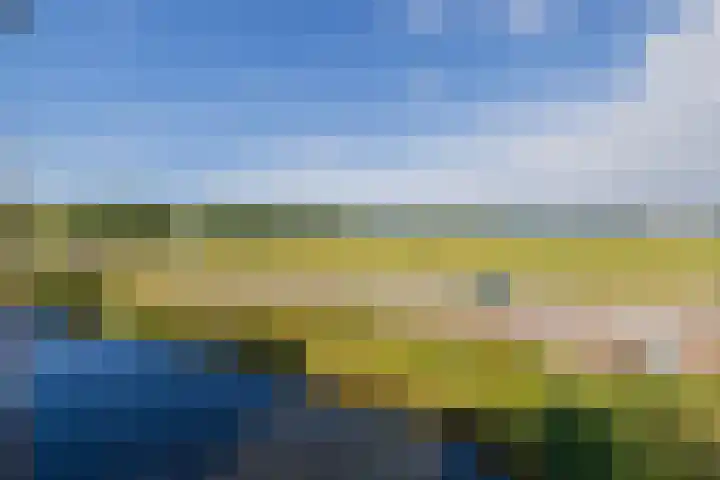 Biezenland 57 Noordwijk thumbnail 27