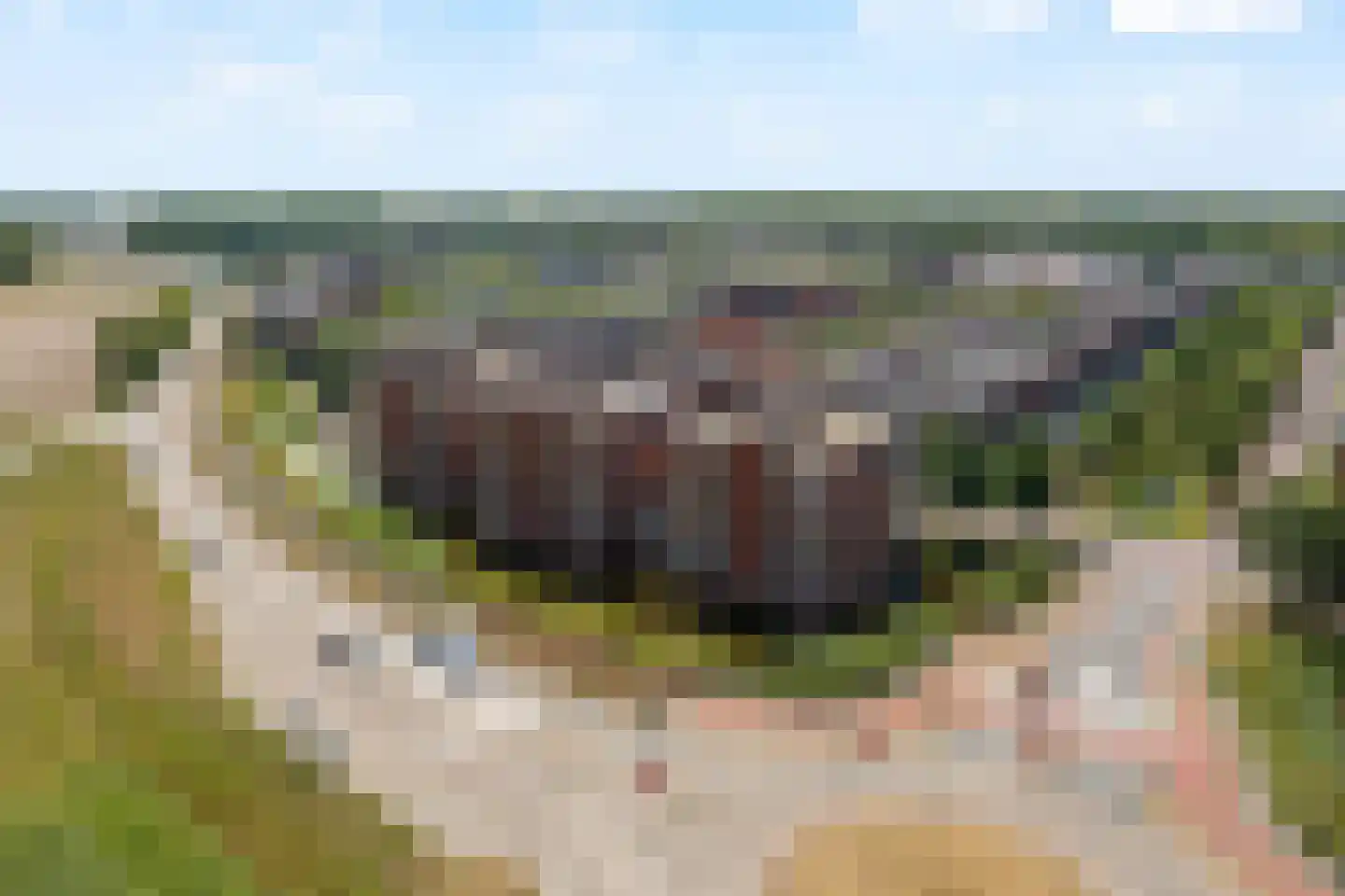 Biezenland 77 Noordwijk thumbnail 29