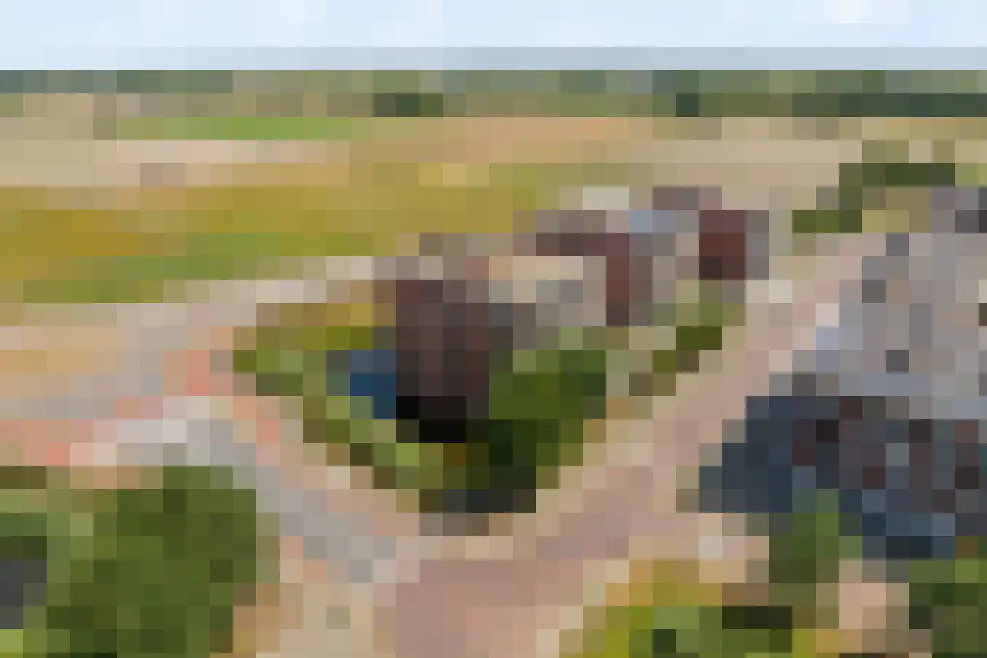 Biezenland 77 Noordwijk thumbnail 30