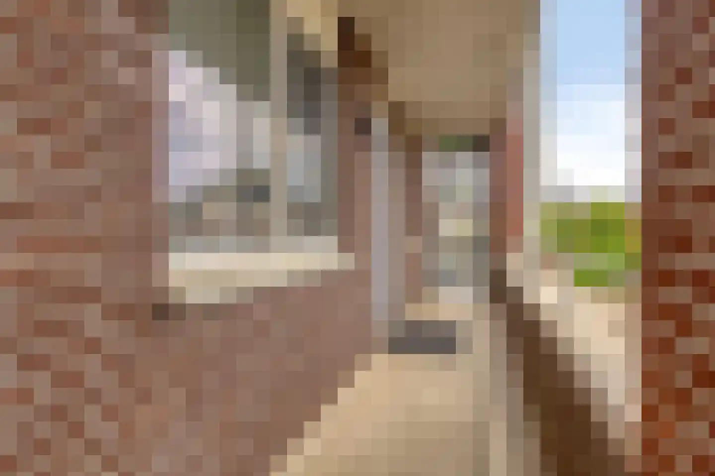 Biezenloop 107 Heesch thumbnail 15