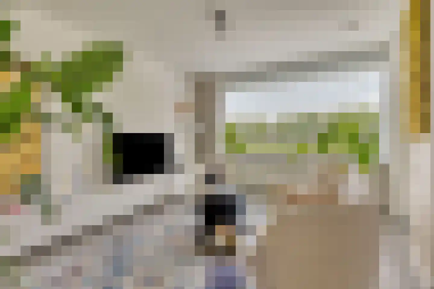 Biezenloop 107 Heesch thumbnail 19