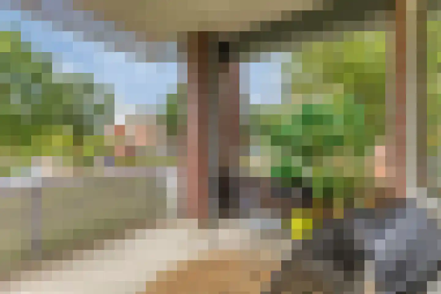 Biezenloop 107 Heesch thumbnail 32