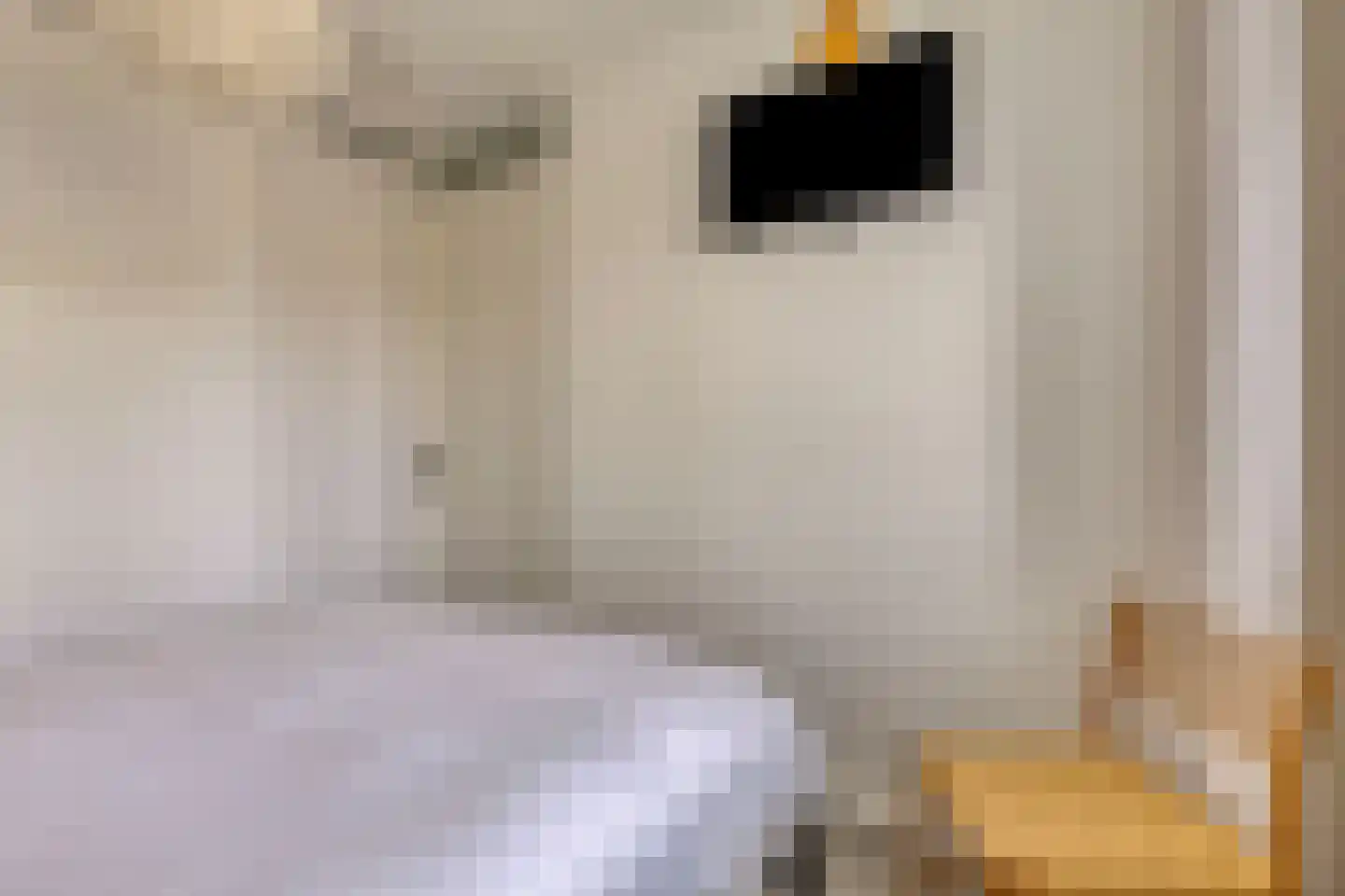 Biezenloop 107 Heesch thumbnail 35