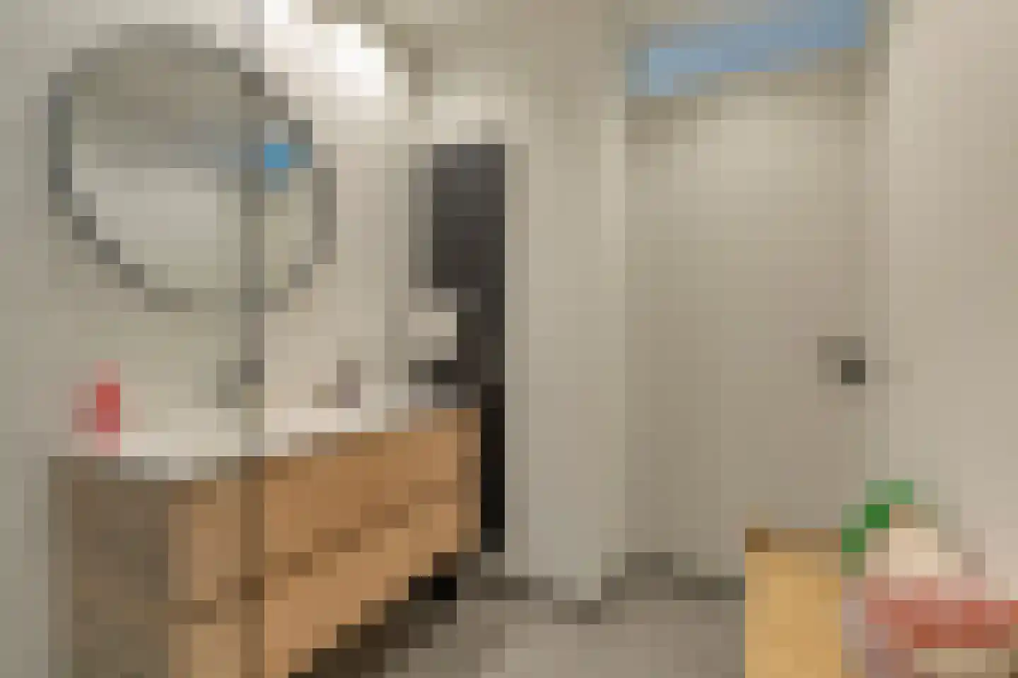 Biezenloop 107 Heesch thumbnail 39