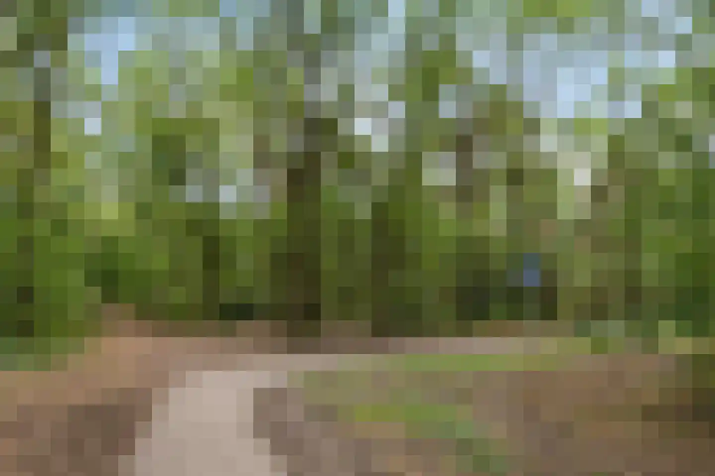 Biezenloop 107 Heesch thumbnail 47