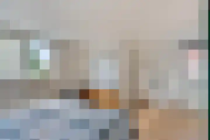 Biezenloop 112 Heesch thumbnail 27