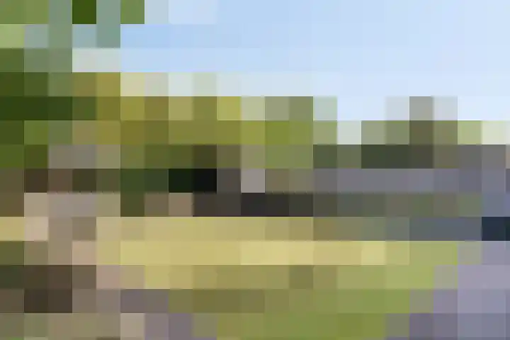 Biezenloop 112 Heesch thumbnail 36