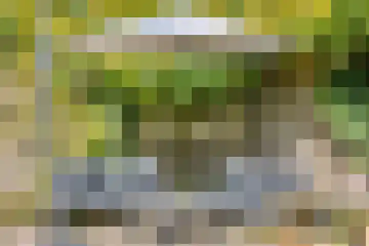 Biezenloop 112 Heesch thumbnail 38
