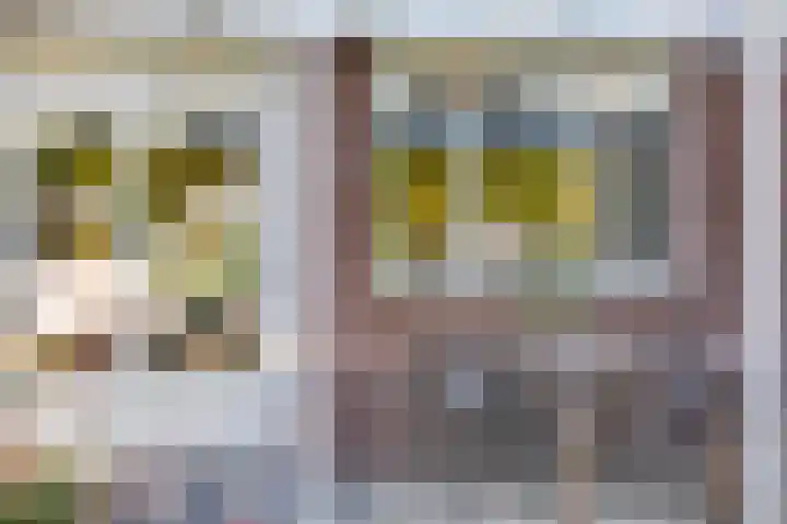 Biezenloop 112 Heesch thumbnail 40