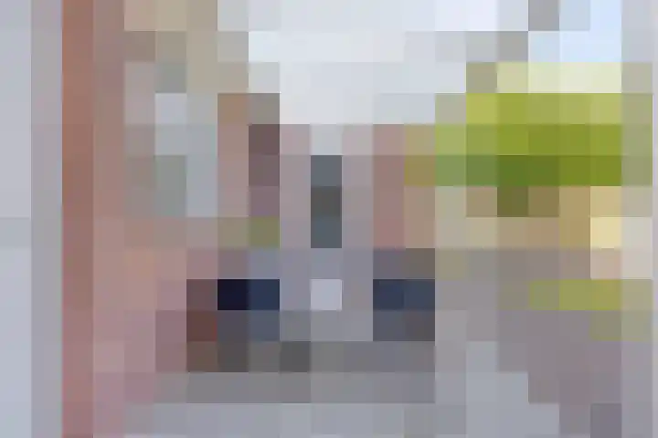 Biezenloop 112 Heesch thumbnail 41