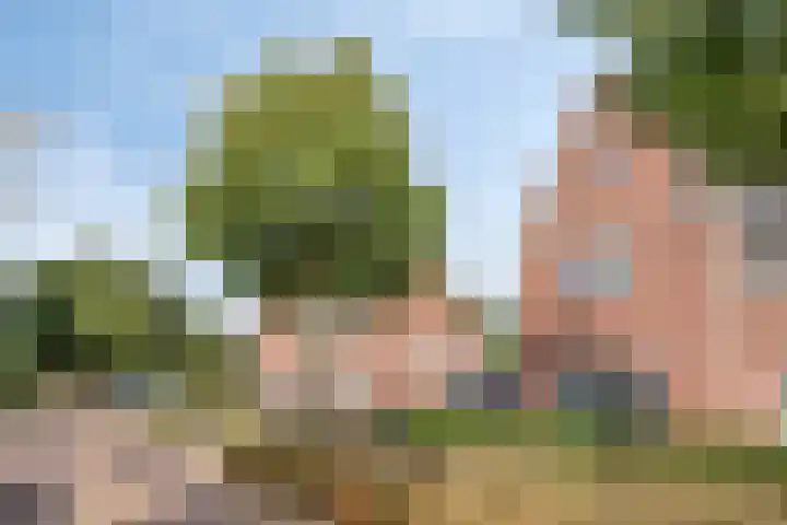 Biezenloop 112 Heesch thumbnail 46