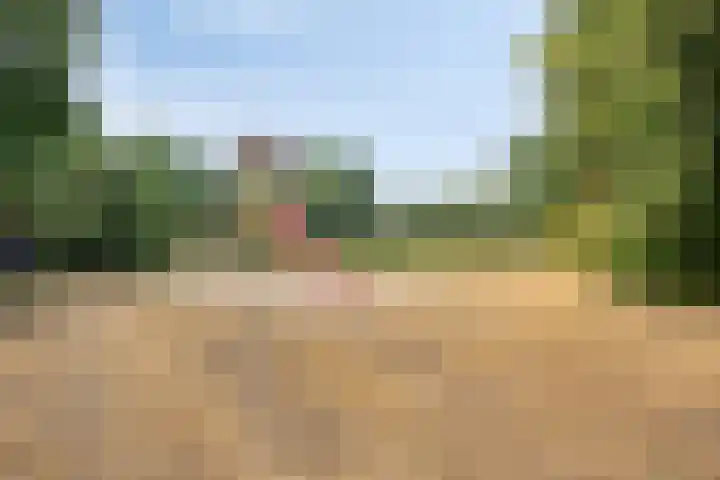 Biezenloop 112 Heesch thumbnail 47