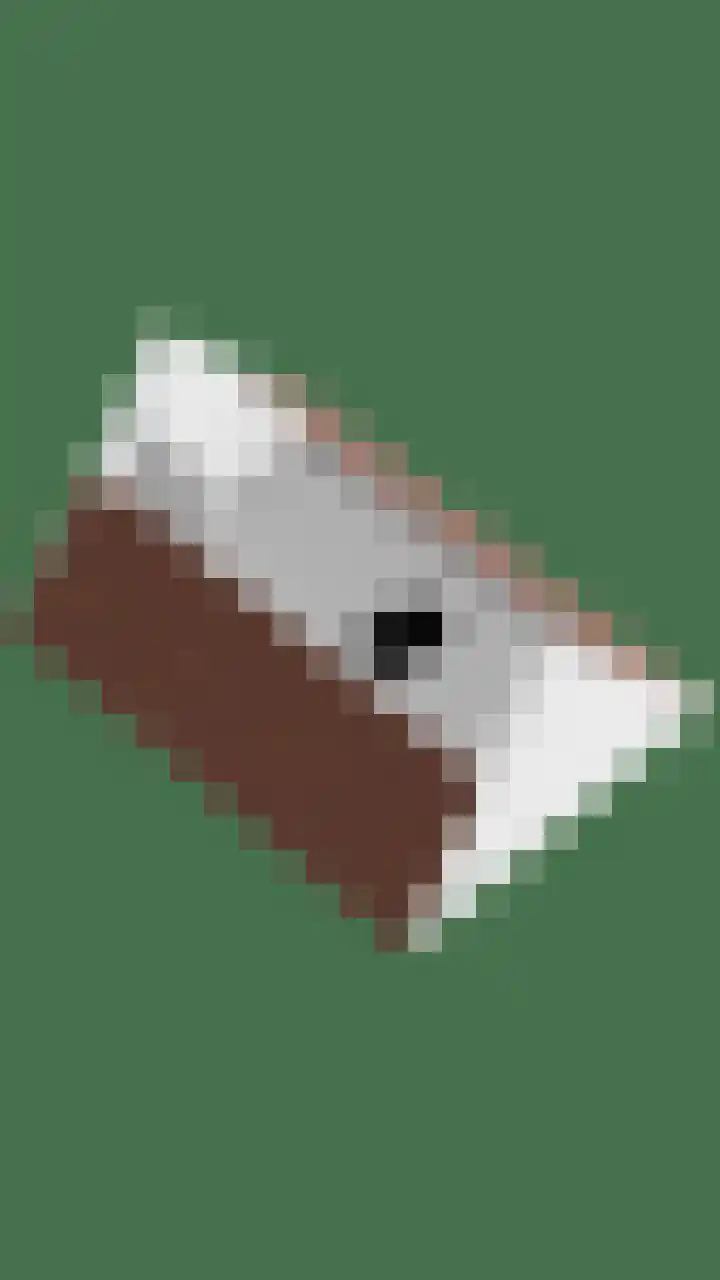 Biezenloop 112 Heesch thumbnail 57