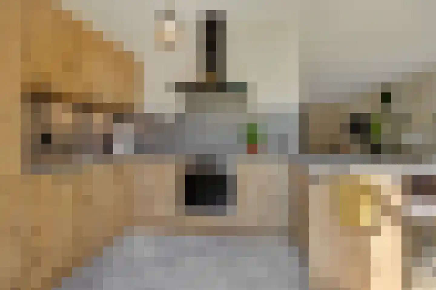 Biezenloop 126 Heesch thumbnail 10