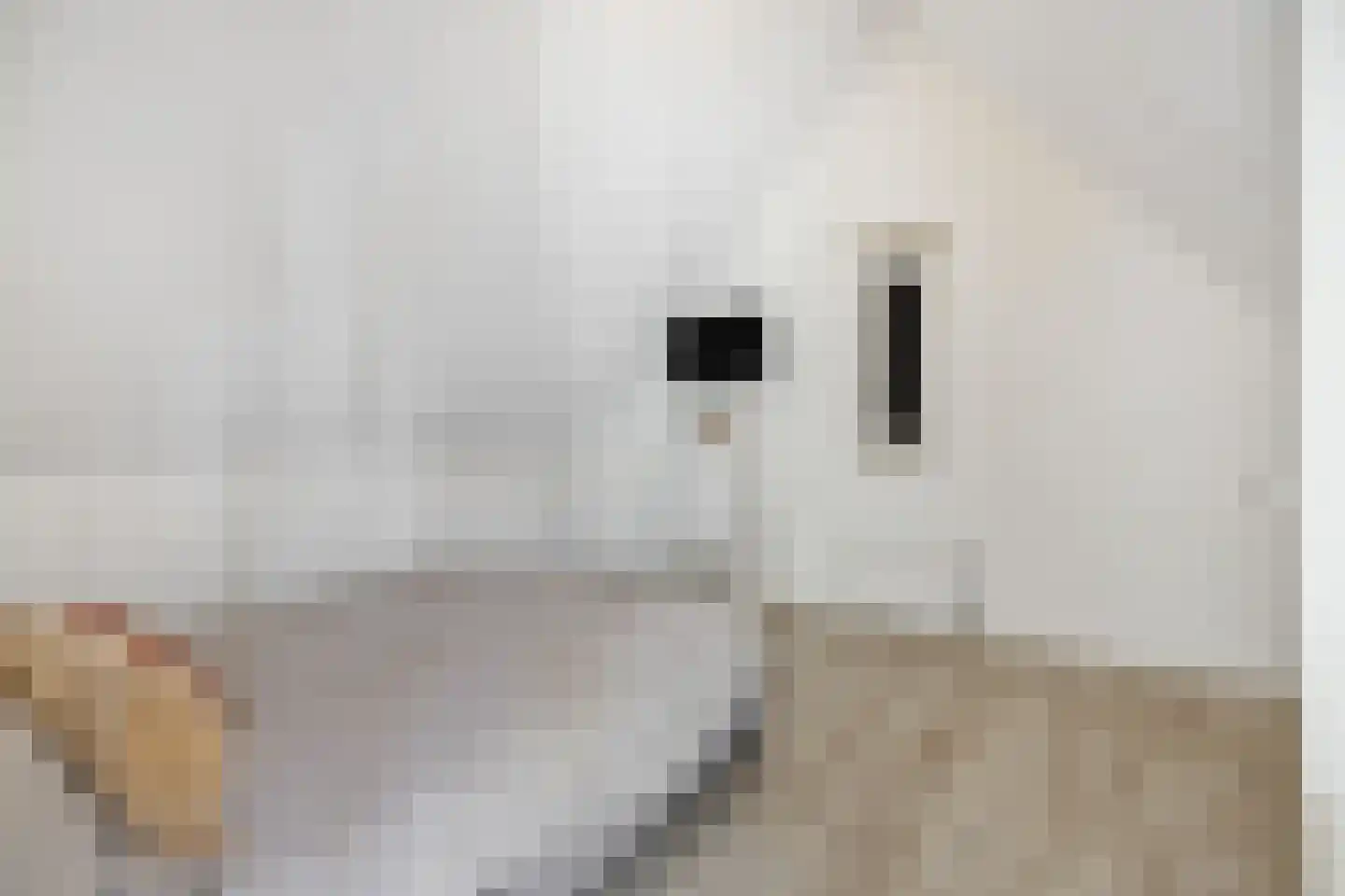 Biezenloop 126 Heesch thumbnail 31