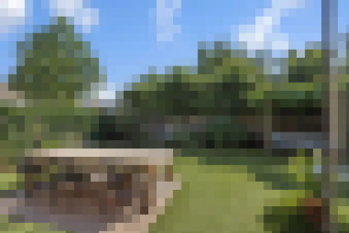 Biezenloop 126 Heesch thumbnail 35