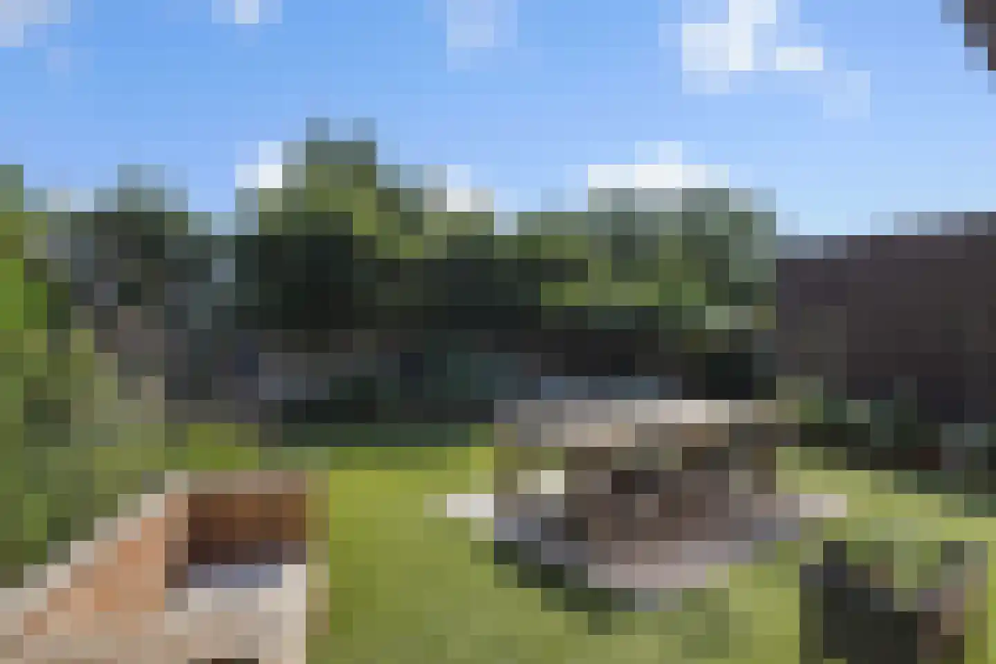 Biezenloop 126 Heesch thumbnail 36