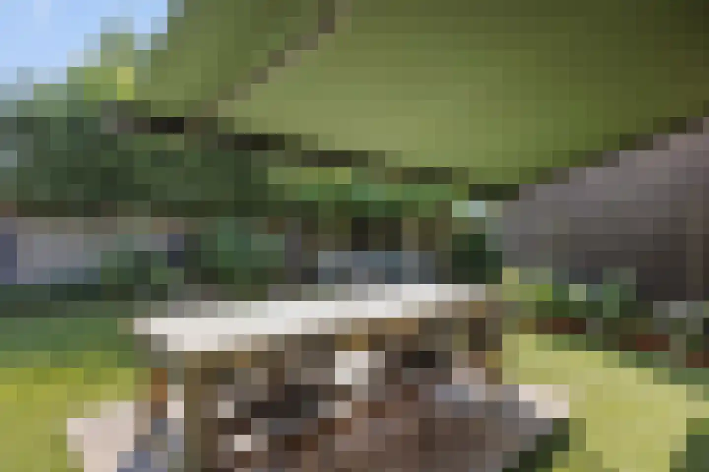 Biezenloop 126 Heesch thumbnail 37