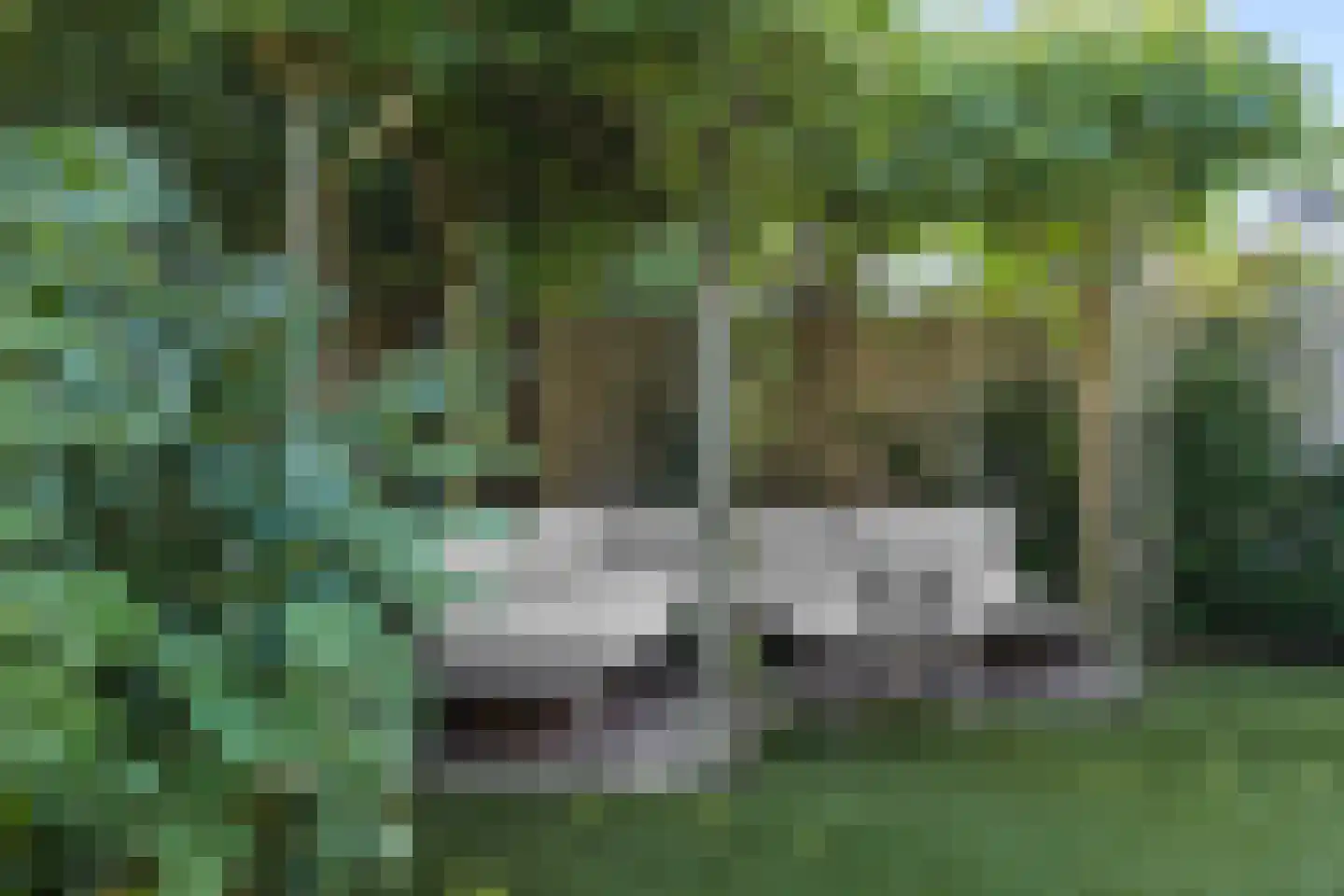 Biezenloop 126 Heesch thumbnail 38